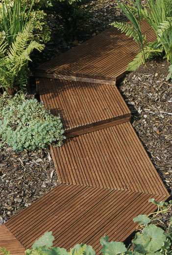 ������ � ������ ���� �� �����